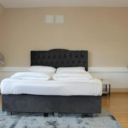 Deluxe Urban Apartment